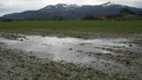 Verdichteter Boden mit kleiner Wasserleitfähigkeit