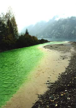 Markierversuch Seez-Walenstadt